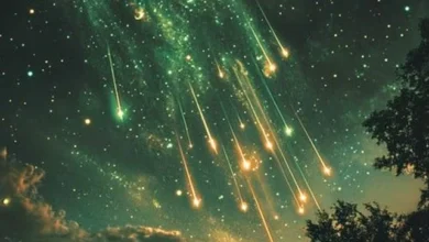 Photo of Leonid Meteor Shower Tonight Exact Time and Sky Directions